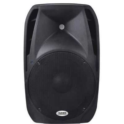 Παθητικό ηχείο PA 15 AUDIEN SM-10115