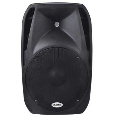 Παθητικό ηχείο PA 12 AUDIEN SM-10112