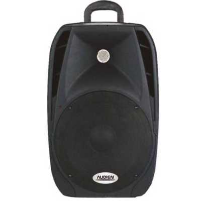 Παθητικό ηχείο PA 8 AUDIEN SM-10108