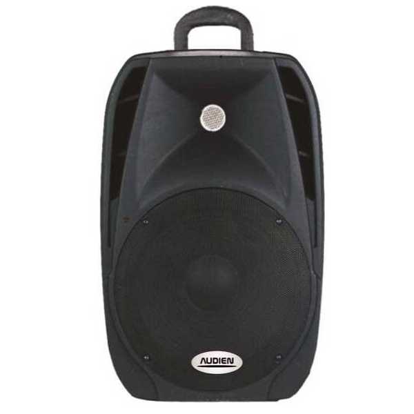 Παθητικό ηχείο PA 8 AUDIEN SM-10108